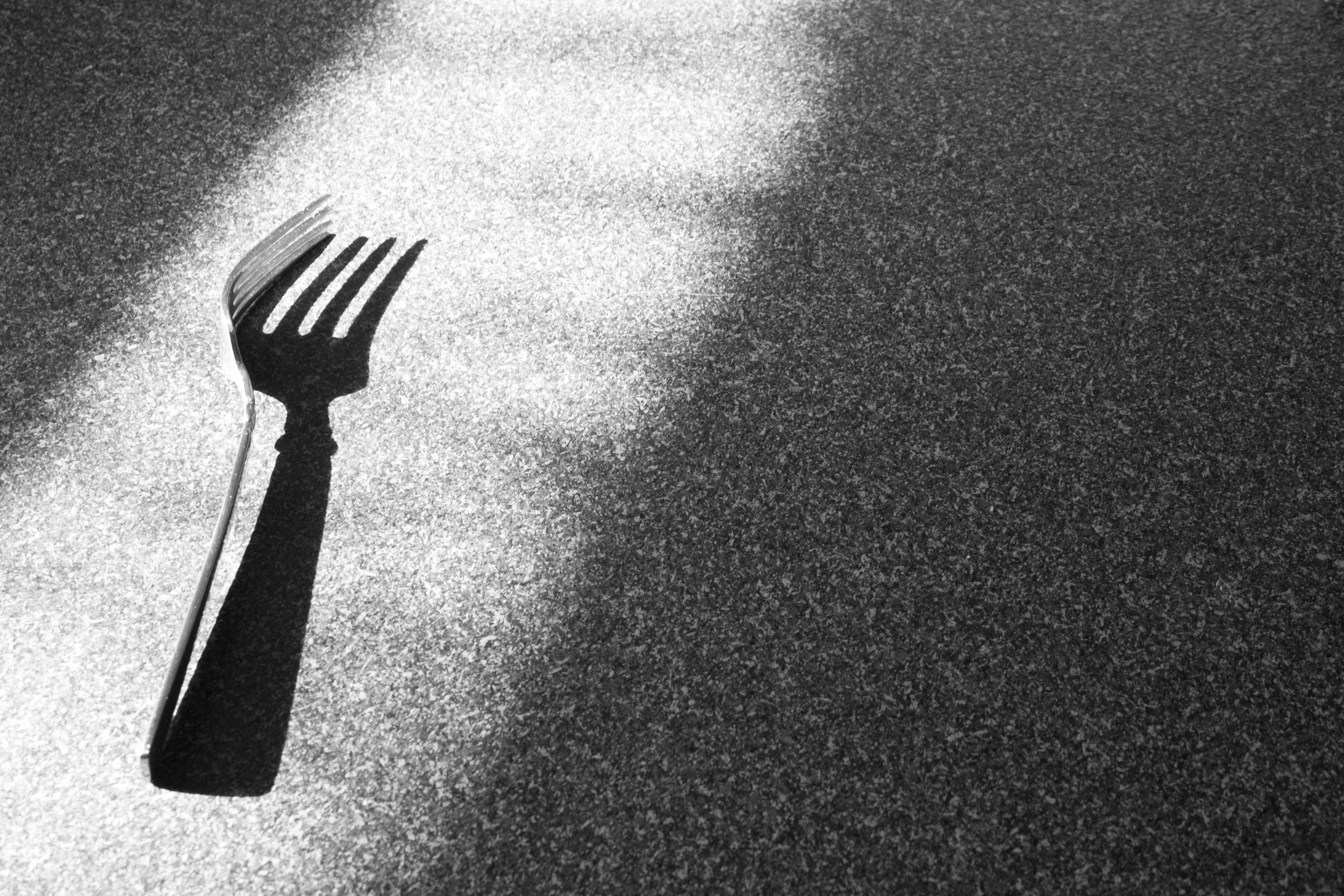 A close-up fork casts a shadow to the left.